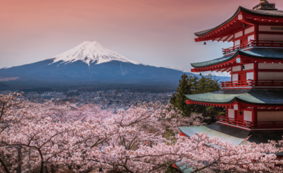 cerezos japoneses en flor-7